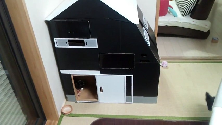 犬 ２階建て手作りダンボールハウス Video Dailymotion