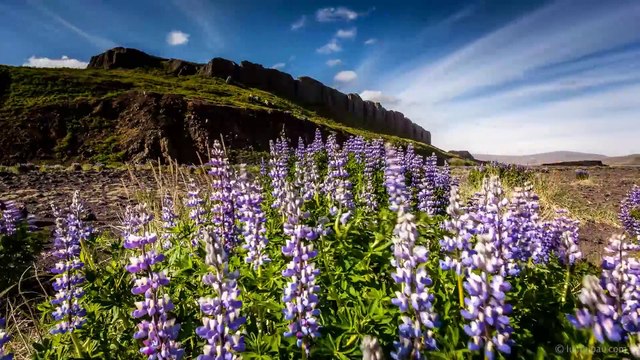 На пустыре моей Души