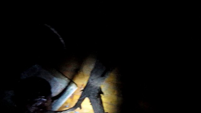 la mariée toute nue sans ses célibataires tout de même