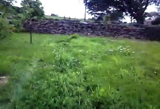 Westwood lawn tractor / ride on mower