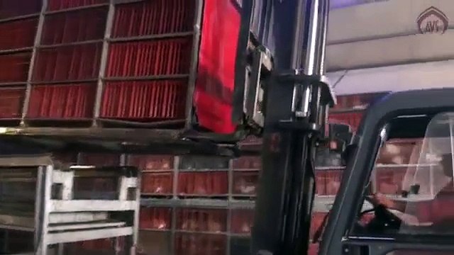 Le Suivie De La Viande Halal