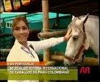 III Feria de Caballos de Paso Fino Colombiano