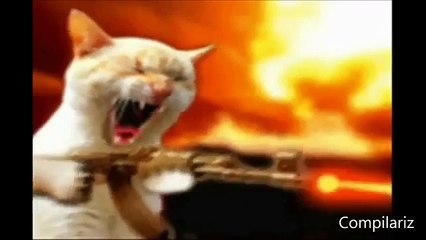 Жизнь животных на планете Земля.