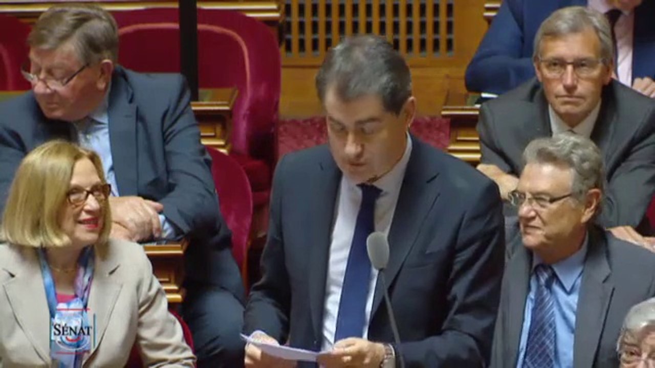 Viande : " La filière bovine agonise alors que la France n’est pas auto suffisante en viande bovine et doit importer ! "