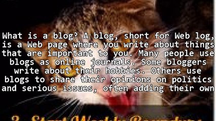 How To Start Your Own Blog