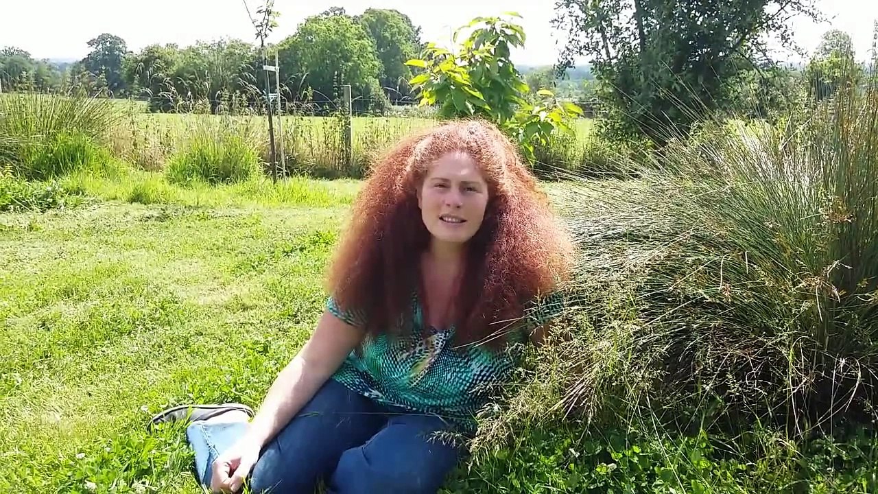 Présentation du projet de film documentaire Mieux Vivre Ensemble