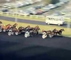 Prix d'Amerique 1996 -Coktail Jet