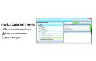 Introducing CAP eFRM: Synoptic Cancer Reporting Made Simple