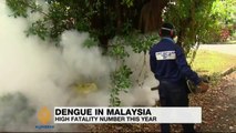 MOSQUITOS Spreading DENGUE VIRUS Dirty Stagnant Water is the Cause