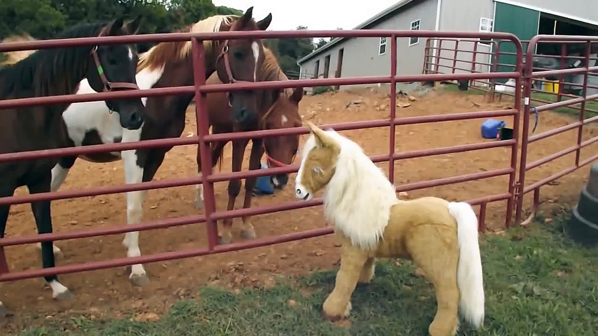 ⁣Horses meet animated Horse