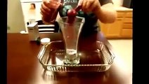 Fun Amazing Science Experiment For Kids | Amazing Science Project | Simple Science Experiment