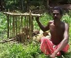 Science and Technology of Tribals in Kerala, India. (DAAL)