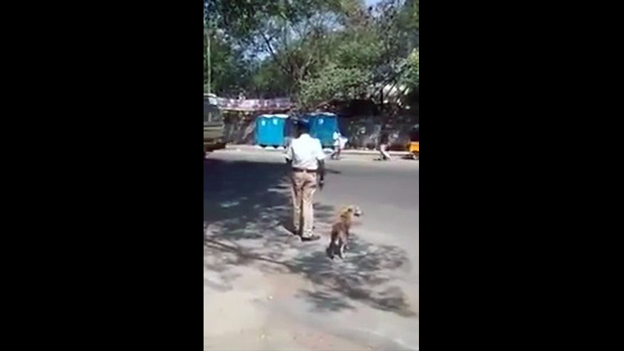 Un policier fait traverser un chien
