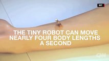 This origami robot can self-destruct in your body