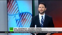 History in the making? DNA nanobots to target cancer cells in test patients