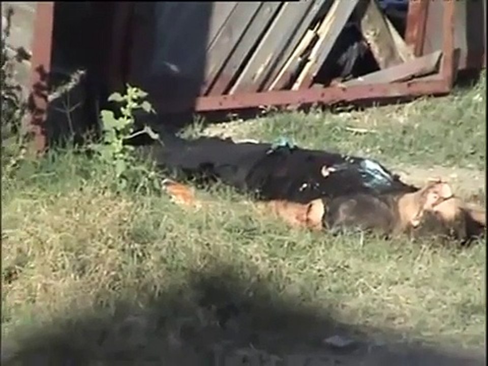 Russian soldiers operation against radical Islamists and terrorists