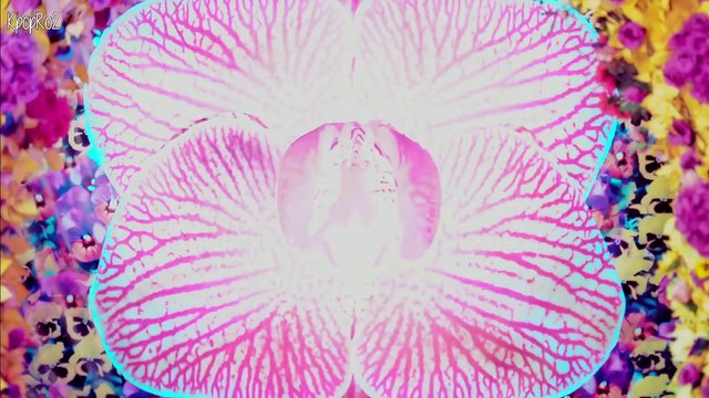 BIGBANG ~ BAE BAE MV [Romanian | Han | Rom] Sub \ HD