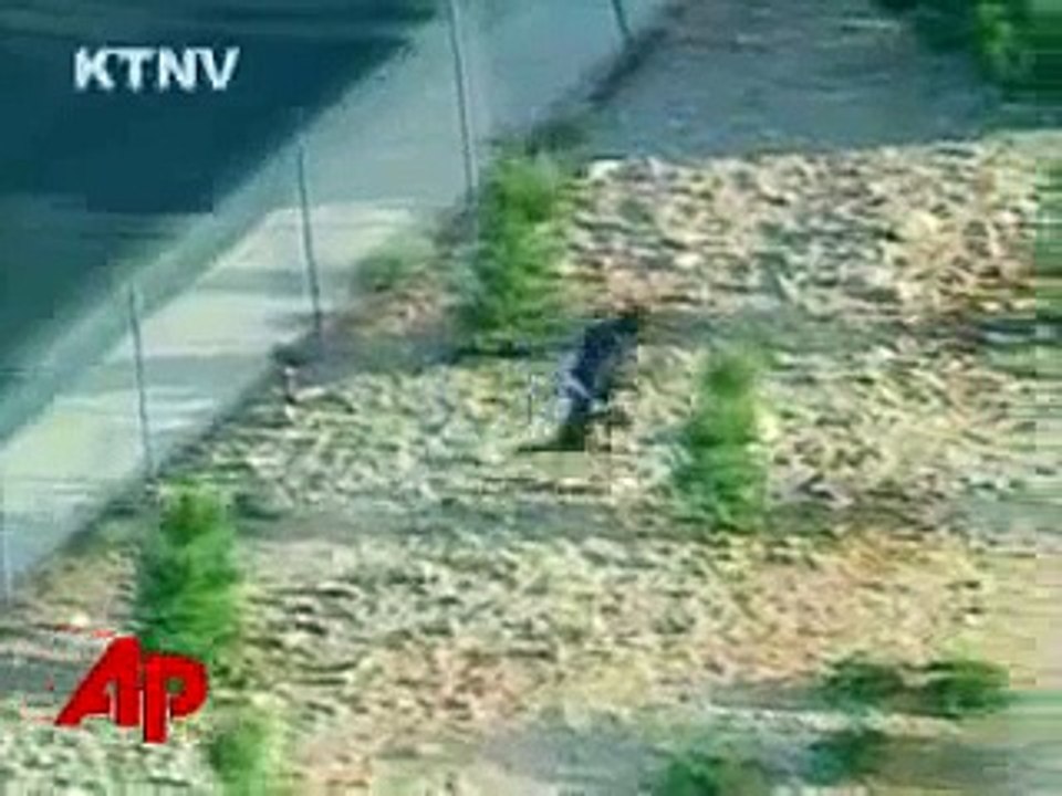 Police 'Chase' Man in Golf Cart