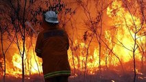 AUSTRALIA! BLOOD SEA now, 'Armageddon' FIRES, Red DUST STORM, Narelle CYCLONE Record HEAT!