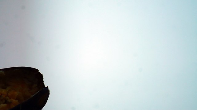 BIRDWATCHING, UBATUBA, SP, BRASIL, 17 DE JUNHO DE 2015, (15)