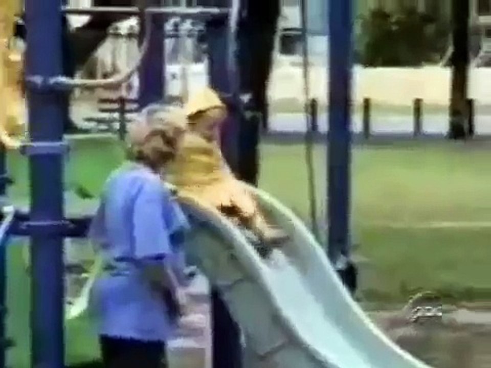 Funny Video