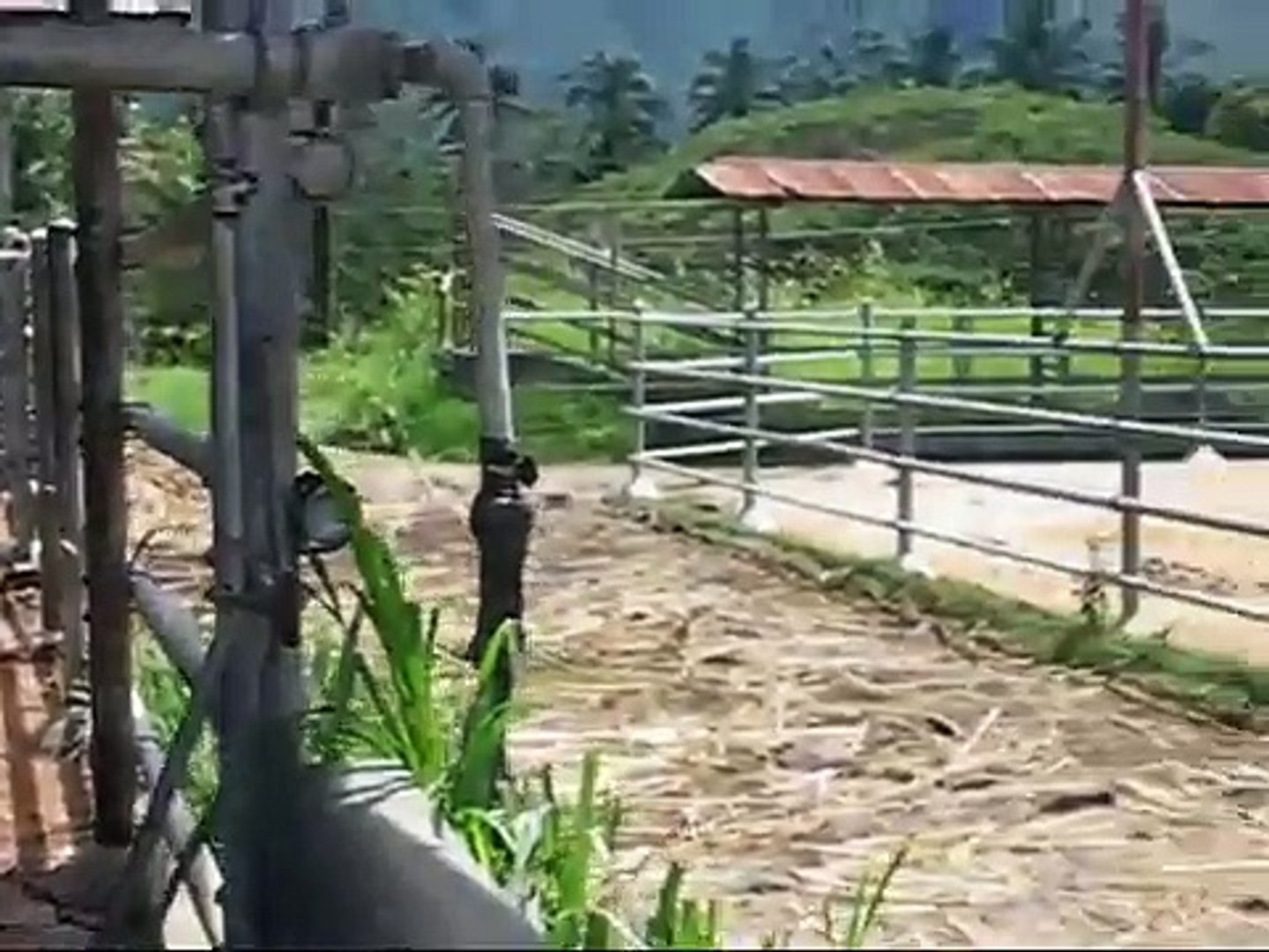 FARM VISIT: ANSA FARM