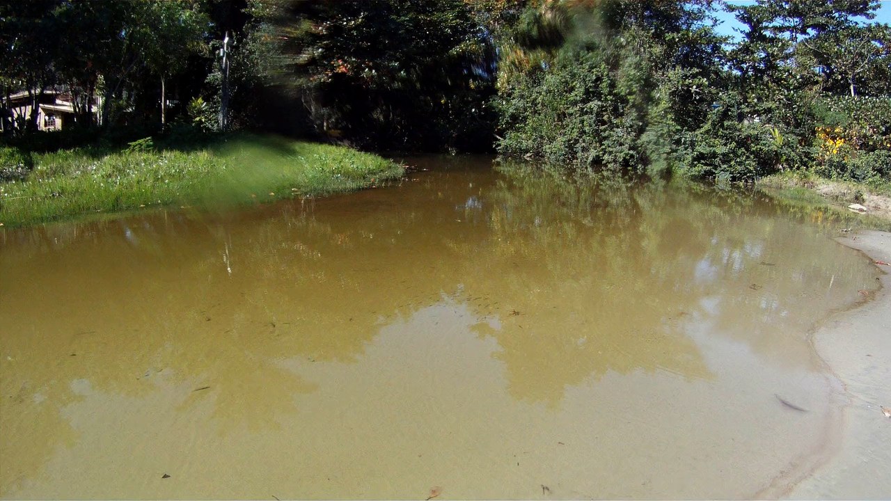 CAMINHADA NAS ONDAS E NOS MARES RICOS, VIDA, VIVA A VIDA, UBATUBA, SP, BRASIL, 17 DE JUNHO DE 2015, (5)