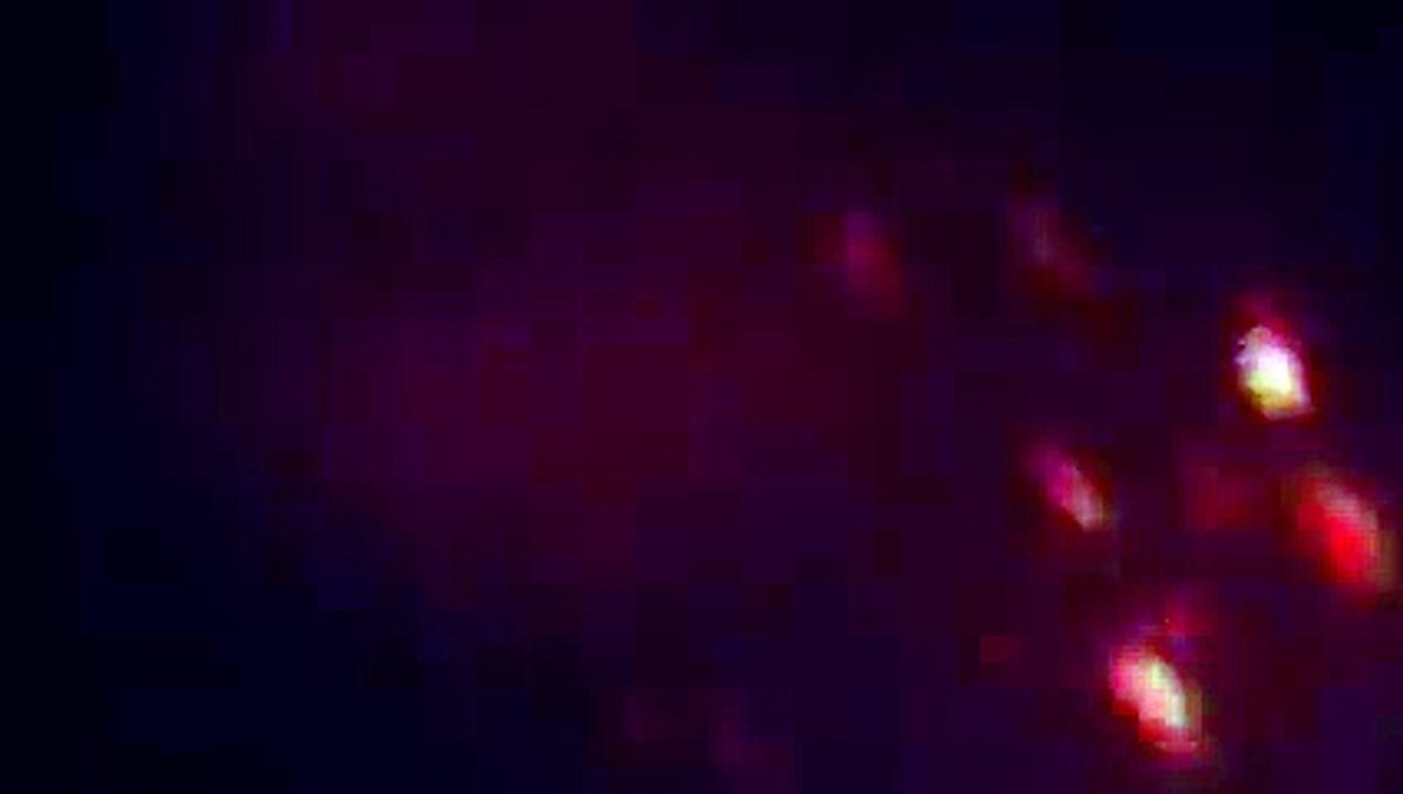Celebration Projection Snippet