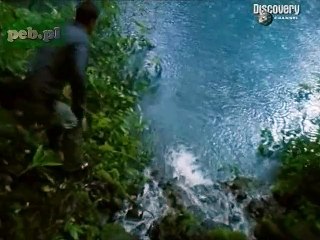 MAN VS WILD - Bear Grylls - Niezapomniany hołd video-\\\\\\\\\\