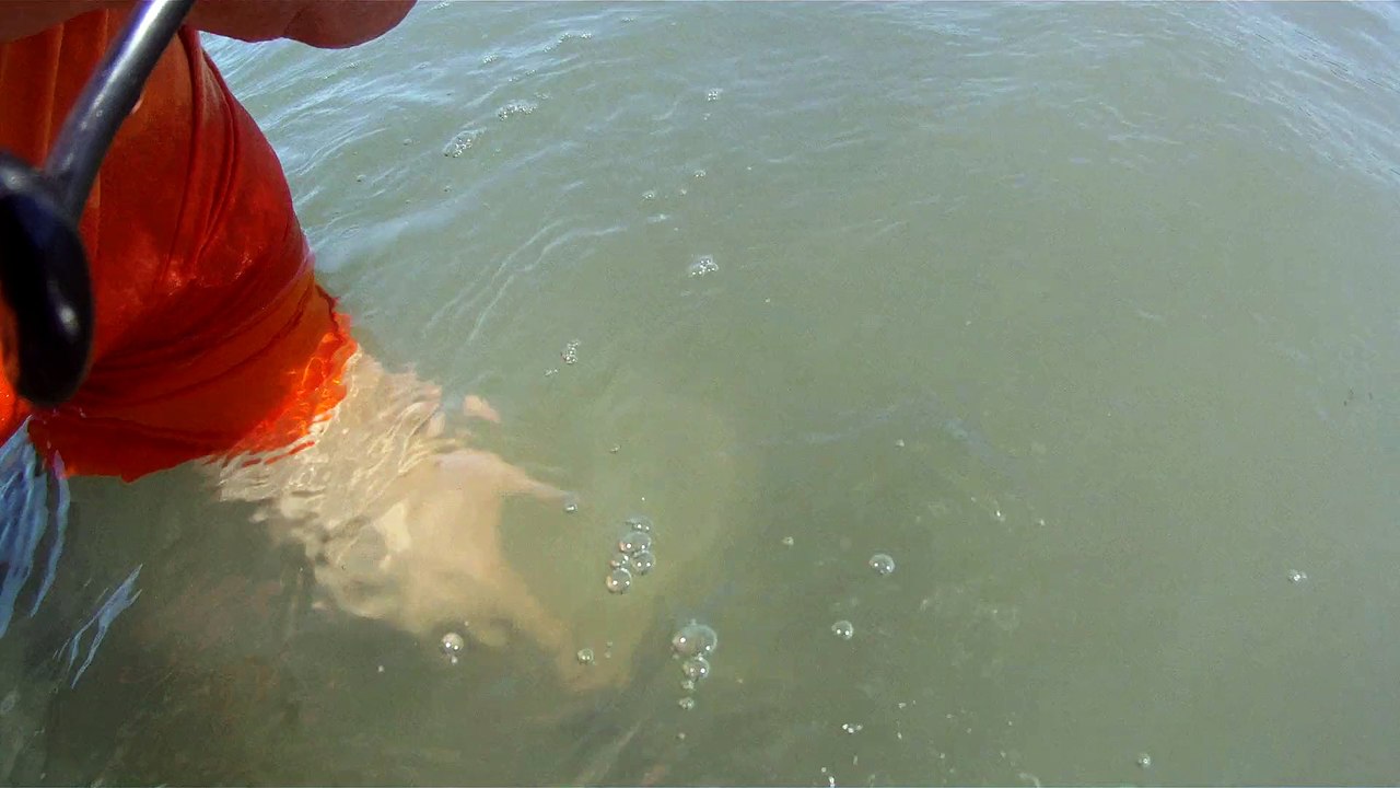 CAMINHADA NAS ONDAS E NOS MARES RICOS, VIDA, VIVA A VIDA, UBATUBA, SP, BRASIL, 17 DE JUNHO DE 2015, (12)