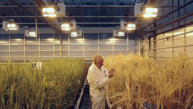 Carlsberg lance sa gamme de produits de beauté pour les hommes