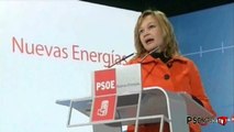 Pajín: Mientras el PSOE aprueba planes que crean empleo, el PP pelea por suceder a su líder