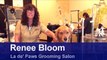 How to Trim the Hair Around a Shaggy-Haired Dog's Ears : Dog Grooming