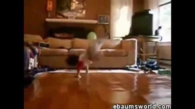 funny babies dancing and singing funny kids dancing funny comercials funny babies commercials