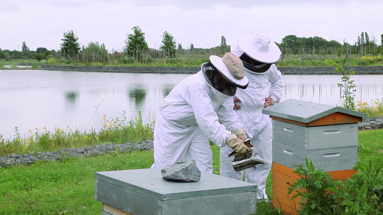 11 - Zeph et Parrain font du miel !