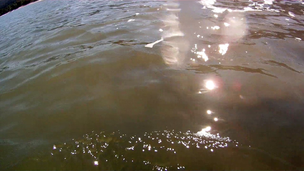 CAMINHADA NAS ONDAS E NOS MARES RICOS, VIDA, VIVA A VIDA, UBATUBA, SP, BRASIL, 17 DE JUNHO DE 2015, (16)