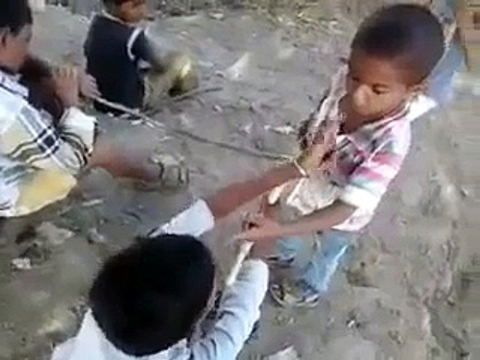 Gujarati child fights