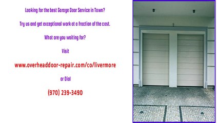 Garage Door Repair Technicians in Livermore, CO
