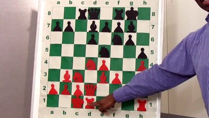 How to Play Chess : Chess Middle Game Tips