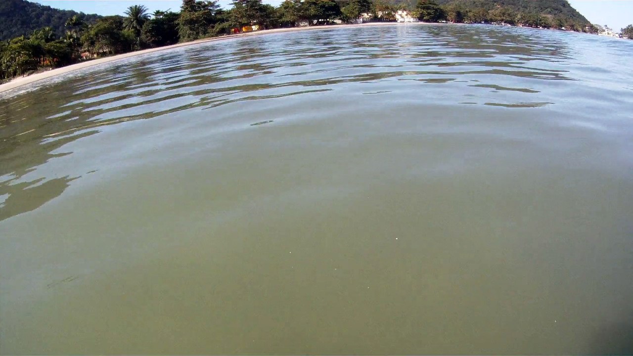 CAMINHADA NAS ONDAS E NOS MARES RICOS, VIDA, VIVA A VIDA, UBATUBA, SP, BRASIL, 17 DE JUNHO DE 2015, (22)