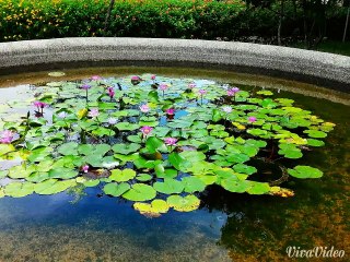 2015-0619, mobile works