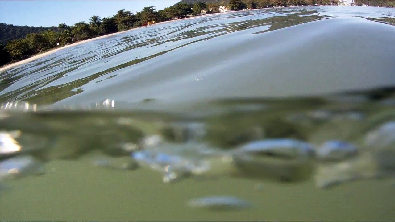 CAMINHADA NAS ONDAS E NOS MARES RICOS, VIDA, VIVA A VIDA, UBATUBA, SP, BRASIL, 17 DE JUNHO DE 2015, (24)