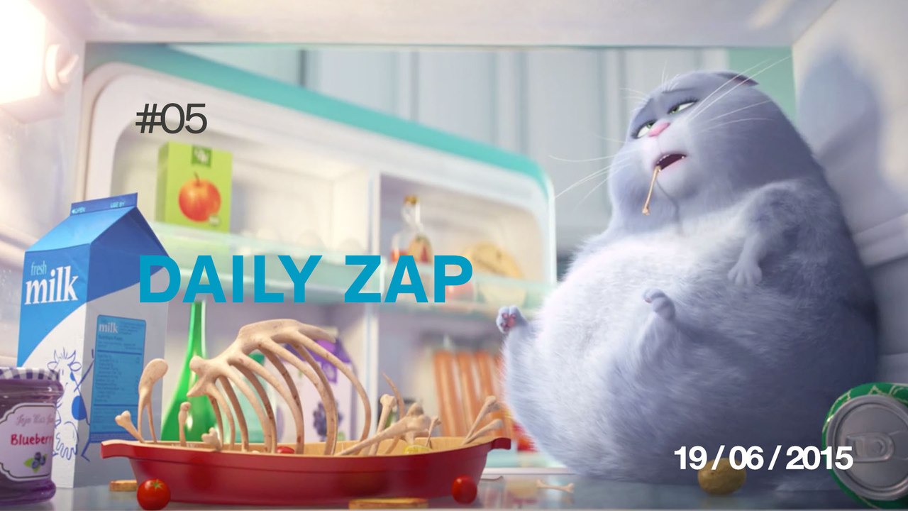 DAILY ZAP #05 : Survival of the fittest / Out of nowhere / Hummingbirds in slow motion /