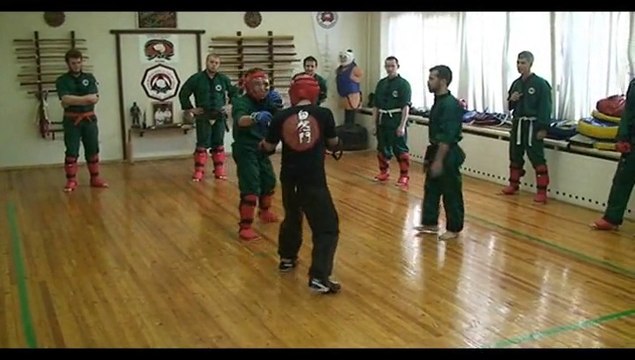 Открытый ринг. Open ring. Цюань Шу и У Таунг Дин. 2015