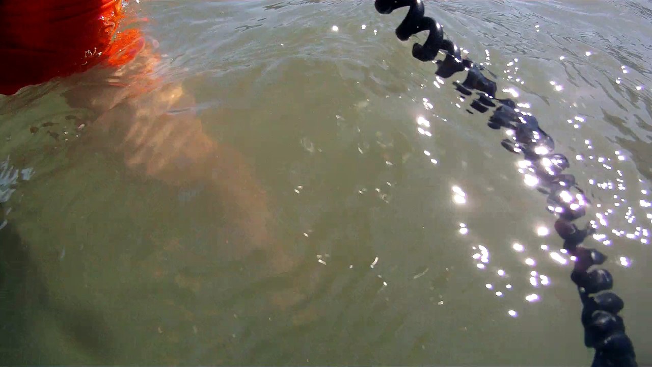 CAMINHADA NAS ONDAS E NOS MARES RICOS, VIDA, VIVA A VIDA, UBATUBA, SP, BRASIL, 17 DE JUNHO DE 2015, (28)