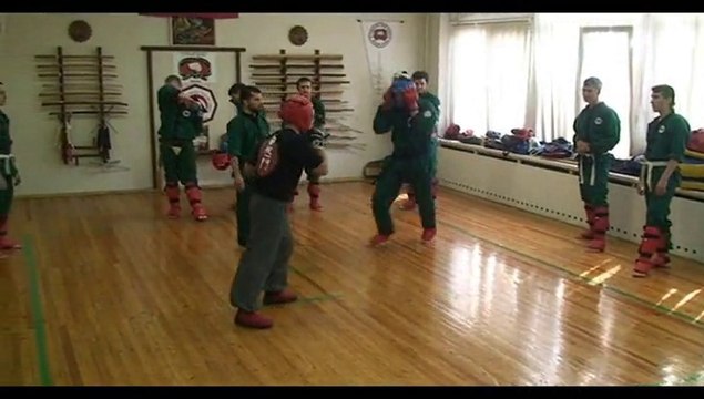 Открытый ринг. Open ring. Цюань Шу и У Таунг Дин. 2015