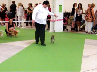 championnat de france inky d'acca larentia