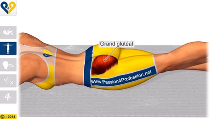 Pilates pour les fessiers: Prone Leg Lift Alternated