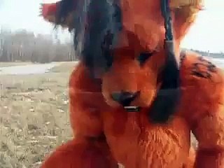 Red XIII Cosplay Fursuit Costume and Rick Astley (reupload)