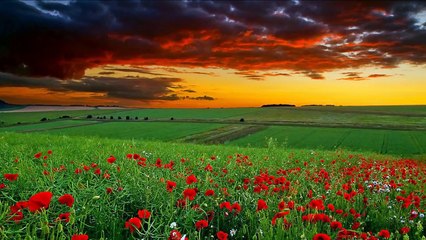 Agnus Dei - Lamb of God Instrumental with lyrics